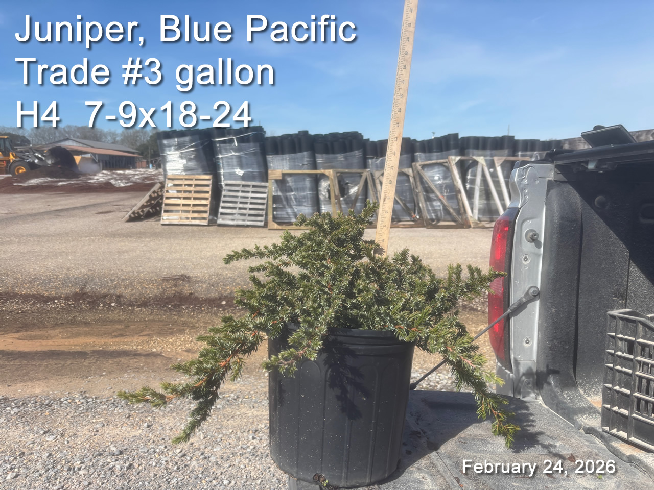 gallery/jbpac3t h4 feb24.jpg